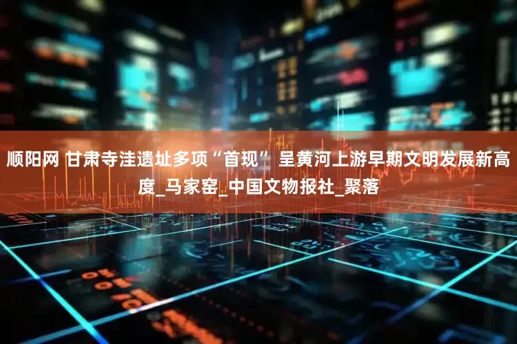 顺阳网 甘肃寺洼遗址多项“首现” 呈黄河上游早期文明发展新高度_马家窑_中国文物报社_聚落