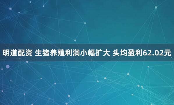 明道配资 生猪养殖利润小幅扩大 头均盈利62.02元